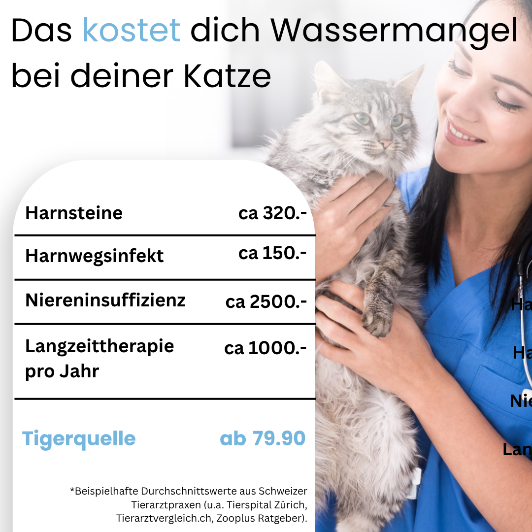 Tigerquelle- Luxus Katzentrinkbrunnen