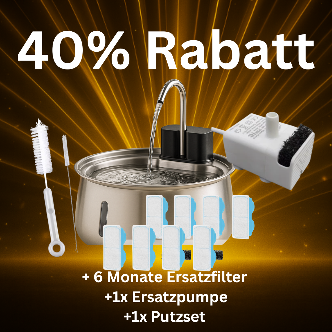Sparpaket (4L kabellos inkl. Bewegungsmelder)