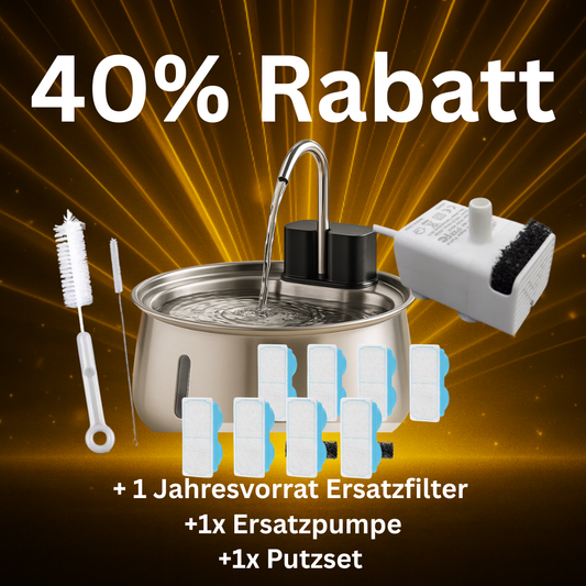 Blackfriday Sparpaket (4L kabellos inkl. Bewegungsmelder)